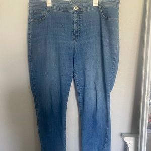 Style & co Tummy Control